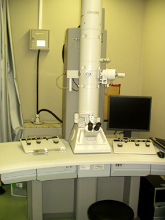 Electron microscope